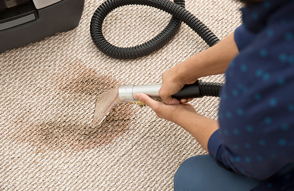 Discover the Difference: Fredericksburg’s Premier Carpet Cleaning Experts