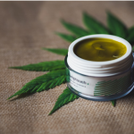 CBD Cream and Pets: What You Need to Know