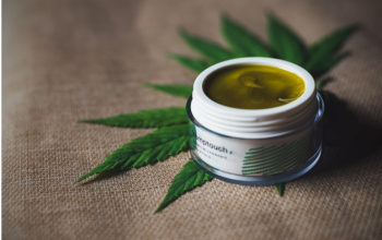 CBD Cream and Pets: What You Need to Know