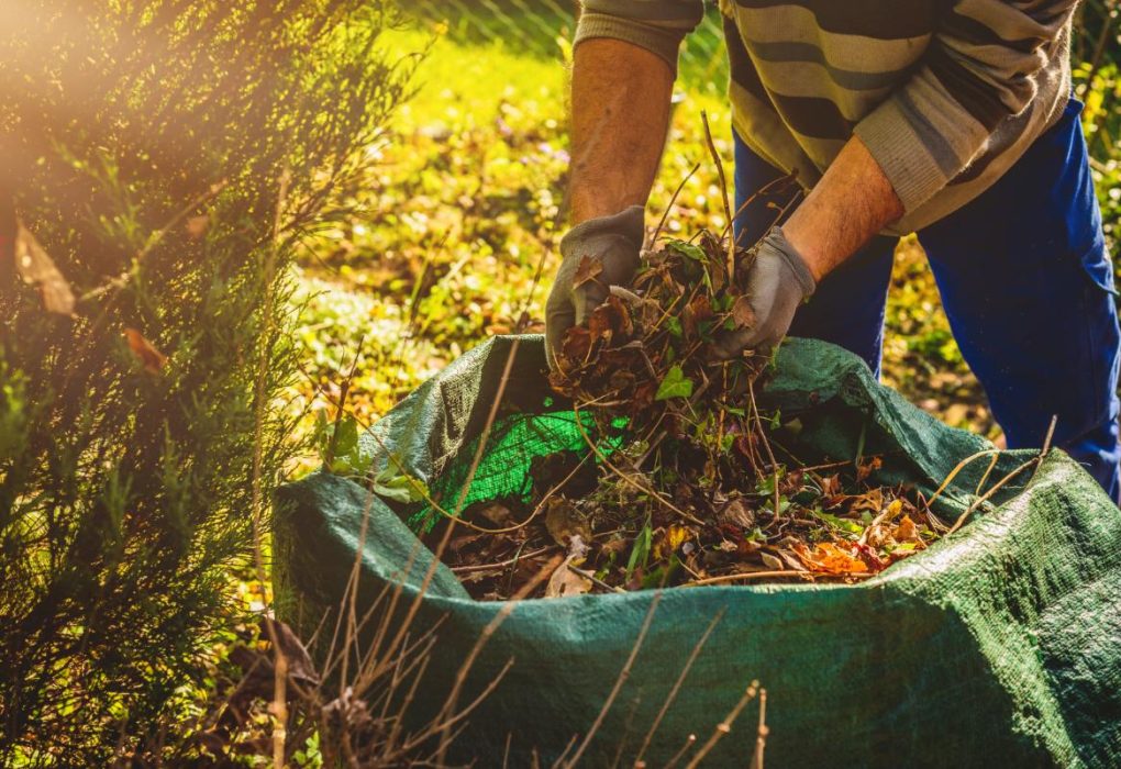 Useful and strong ways to pick up junk outside and take care of playsets